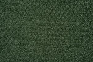 Green 2089