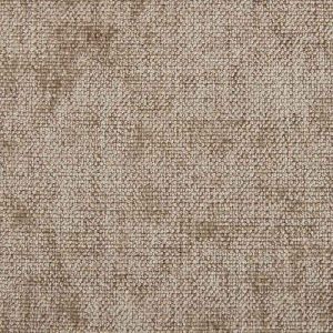 Classic Beige